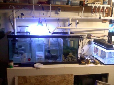 20110329081828.jpg