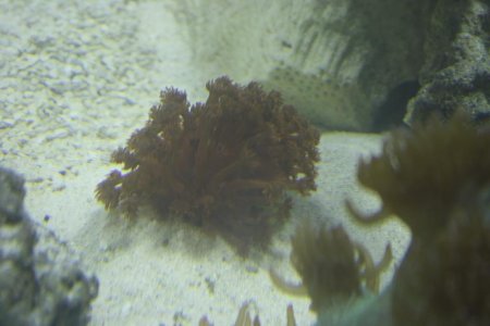 IMG_0028.jpg