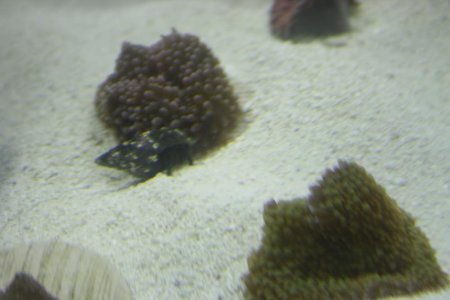 IMG_0030.jpg