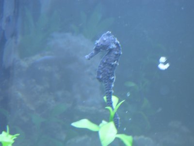 IMG_1680.JPG