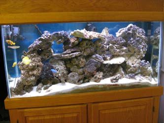 IMG_4028tankfront.jpg