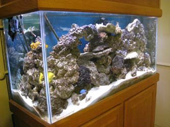 IMG_4027abgletank.jpg