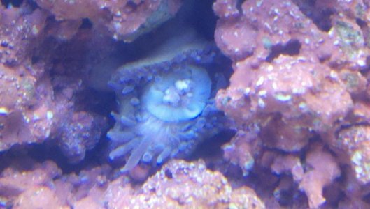 2011-04-19_17-43-54_59.jpg