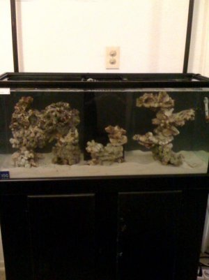 aquascape 1.jpg