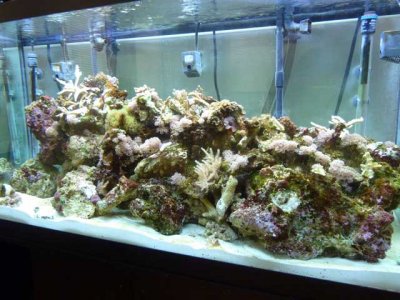 90 Gal.jpg