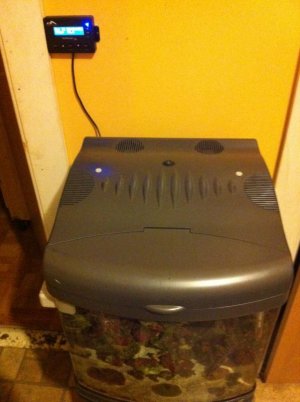 ImageUploadedByTapatalk1303493824.407961.jpg