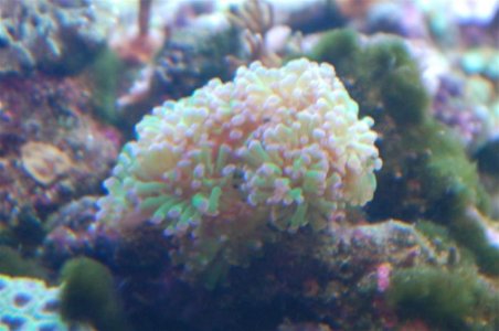 DSC_3354 (Medium) (Custom).JPG