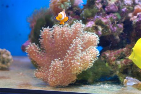 DSC_3368 (Custom).JPG