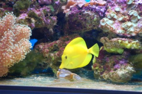 DSC_3369 (Custom).jpg