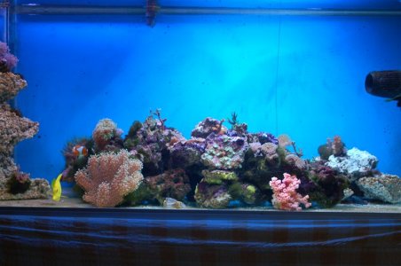 DSC_3373 (Custom).JPG