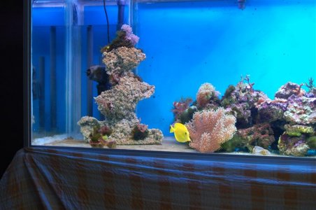 DSC_3374 (Custom).JPG