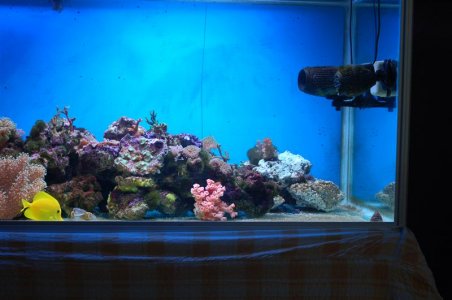 DSC_3375 (Custom).JPG