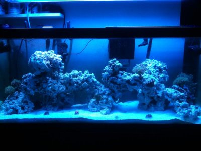 new tank in progress.jpg