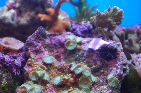 DSC_3392 (Custom).jpg