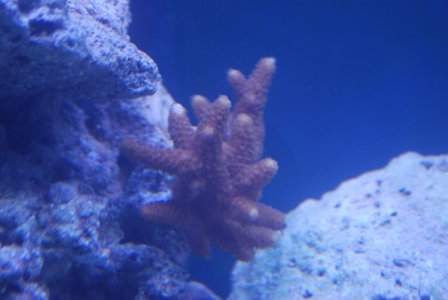 DSC_0048.JPG