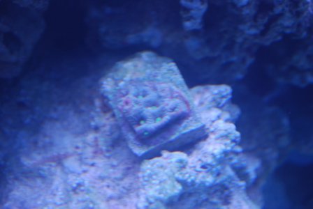 DSC_0051.JPG