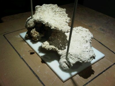 IMG00186-20110424-2057.jpg
