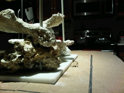 IMG00187-20110424-2057.jpg