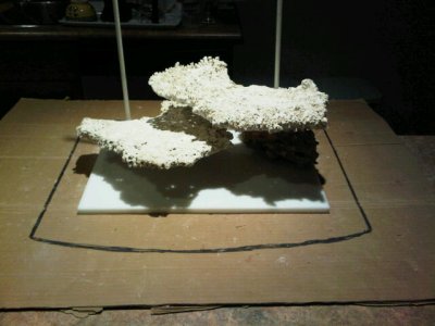 IMG00185-20110424-2056.jpg