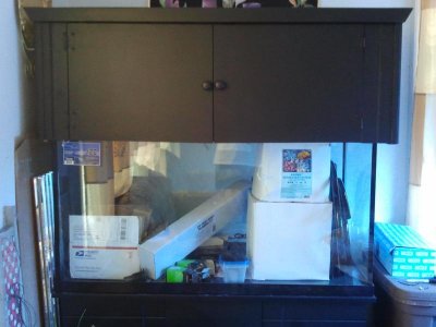 2011-04-10 15.26.00.jpg