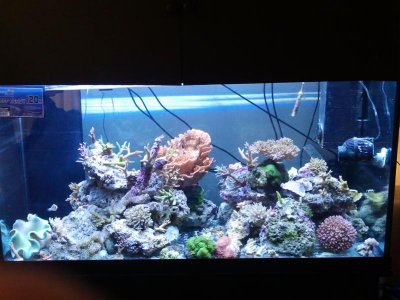 2011-04-12 14.53.43.jpg