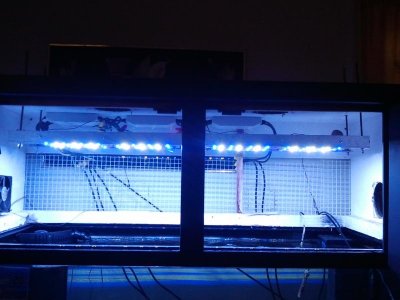 2011-04-12 14.55.52.jpg