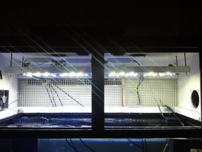 2011-04-13 18.33.30.jpg