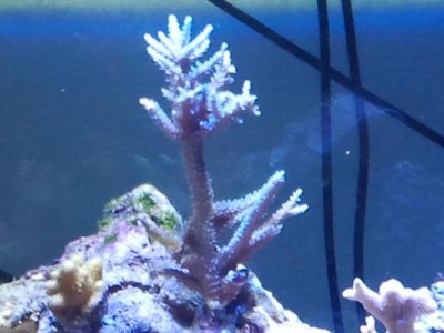 2011-04-20 18.47.11.jpg