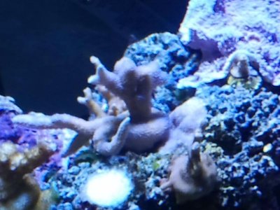 2011-04-20 18.50.07.jpg