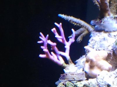 2011-04-20 18.51.52.jpg