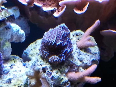 2011-04-26 17.14.01.jpg