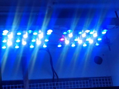 2011-05-01 14.58.52.jpg