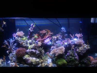 2011-05-02 14.15.21.jpg