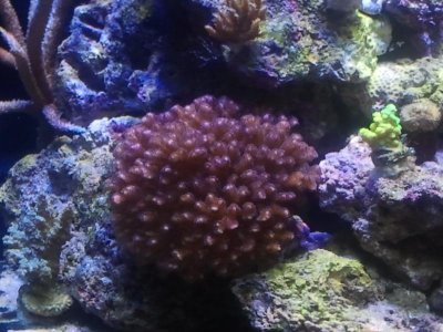 2011-05-02 14.30.08.jpg