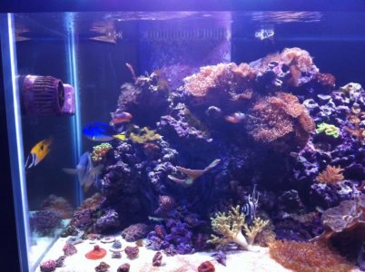 5-2-2011 left side.jpg