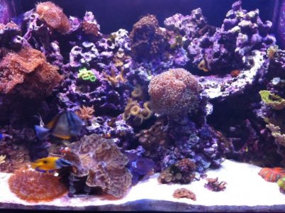 5-2-2011 middle.jpg