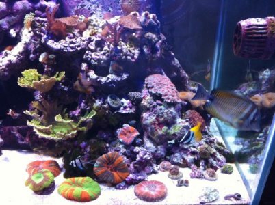 5-2-2011 right side.jpg