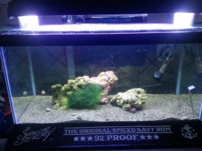 2011-04-25 16.34.14.jpg