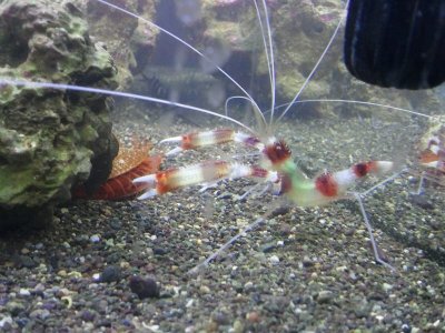 2011-04-23 18.53.37.jpg