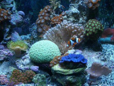 June 12th, 2010 003.jpg