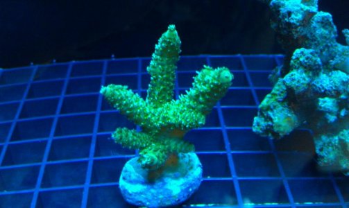 IMAG0248.jpg