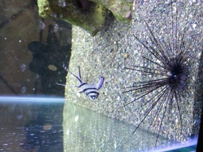 2011-04-26 19.47.41.jpg