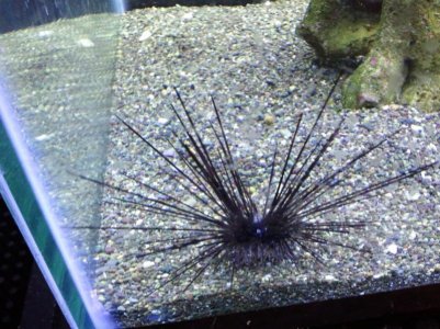 2011-04-26 19.47.50.jpg