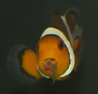 IMG_1293a.jpg IMG_1293a.jpg