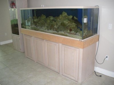 DSCN4920.jpg