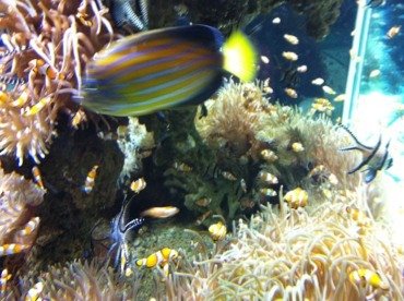 ImageUploadedByTapatalk1304631326.045629.jpg ImageUploadedByTapatalk1304631326.045629.jpg