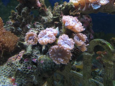 IMG_2633 (Medium).JPG