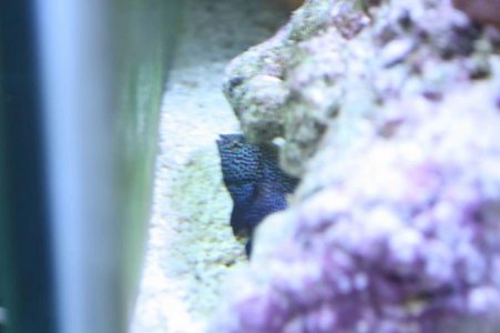 IMG_0581.jpg