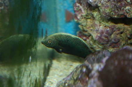 IMG_0584.jpg