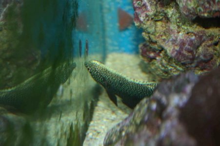 IMG_0585.jpg